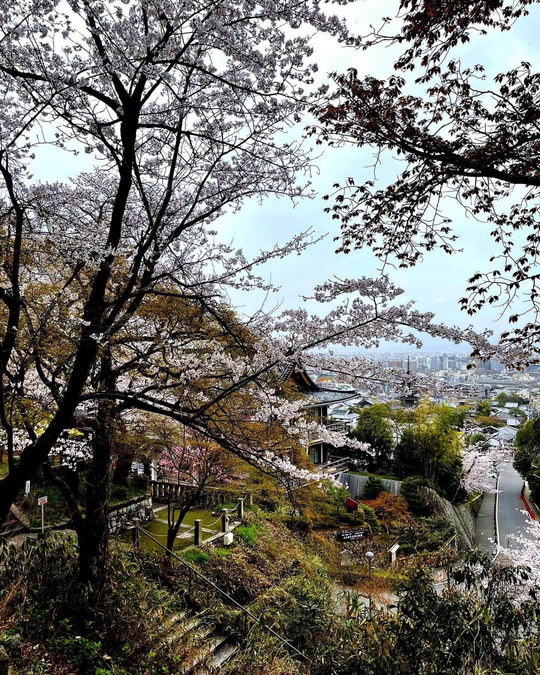 トムセン陽子さんのインスタグラム写真 - (トムセン陽子Instagram)「今回の京都旅行、2日目のお昼、友人達と少しだけ別行動して、霊山護国神社へ。  お墓参りというよりも、 龍馬に会いに行く感覚。  他に誰もいない時間があったので、 ゆっくり話しかけました。  会えて良かった。  またふらっと来るね、龍馬さん。  #龍馬 #京都」3月26日 20時02分 - yokothomsen