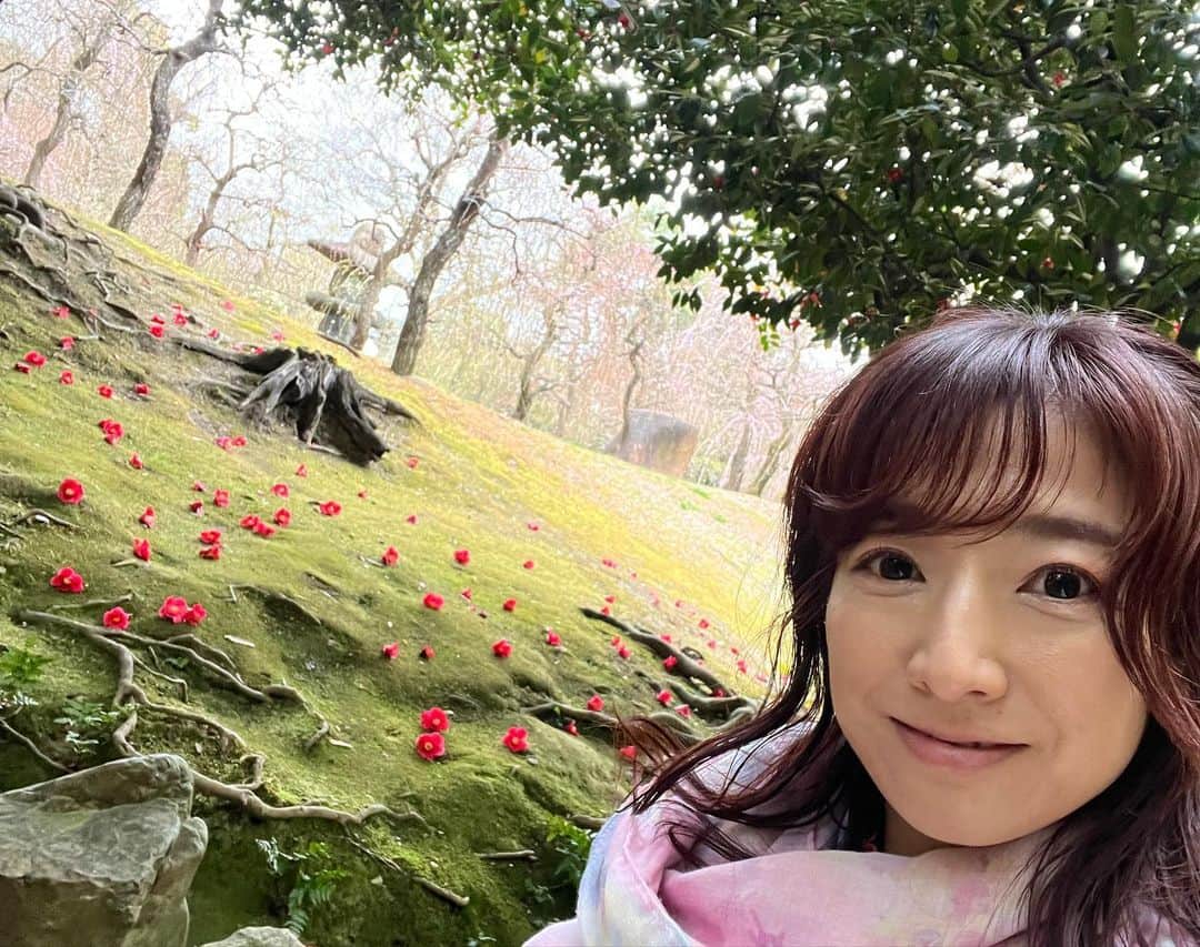 佐藤彩さんのインスタグラム写真 - (佐藤彩Instagram)「ちょこっと京都散策の思い出✨  先週の話ですが…  椿と苔の織りなす幻想的な光景に出会えたのは嬉しくて🥹  ここに、しだれ梅のピンクが加わる時期は さらに美しいだろうから、また来たいなぁ… なんて思いながら楽しんだ 城南宮のお庭✨  桜は開花宣言出るか出ないかの時期だったので 名所には行かず… クラフトビール醸造所でビールを楽しみました😂  冬の気まぐれIPA めちゃくちゃ美味しかった🥹 今度春の気まぐれ見つけたら また飲もう🍺 . .  京都でもレンタサイクル乗るとは思っていなかったけど 城南宮行くなら駅からちょい遠めなのでかなりオススメです🚲  #京都旅行 #桜の前も楽しめる #京都散歩 #城南宮 #椿の花 #東寺 #京都グルメ #京都離宮 #だし巻き卵 #京都醸造 #クラフトビール #クラフトビール好き #心くすぐる #京都はクラフトビールも熱い #今度ははしごしたいな #旅好き」3月26日 19時57分 - hbc_ayasato