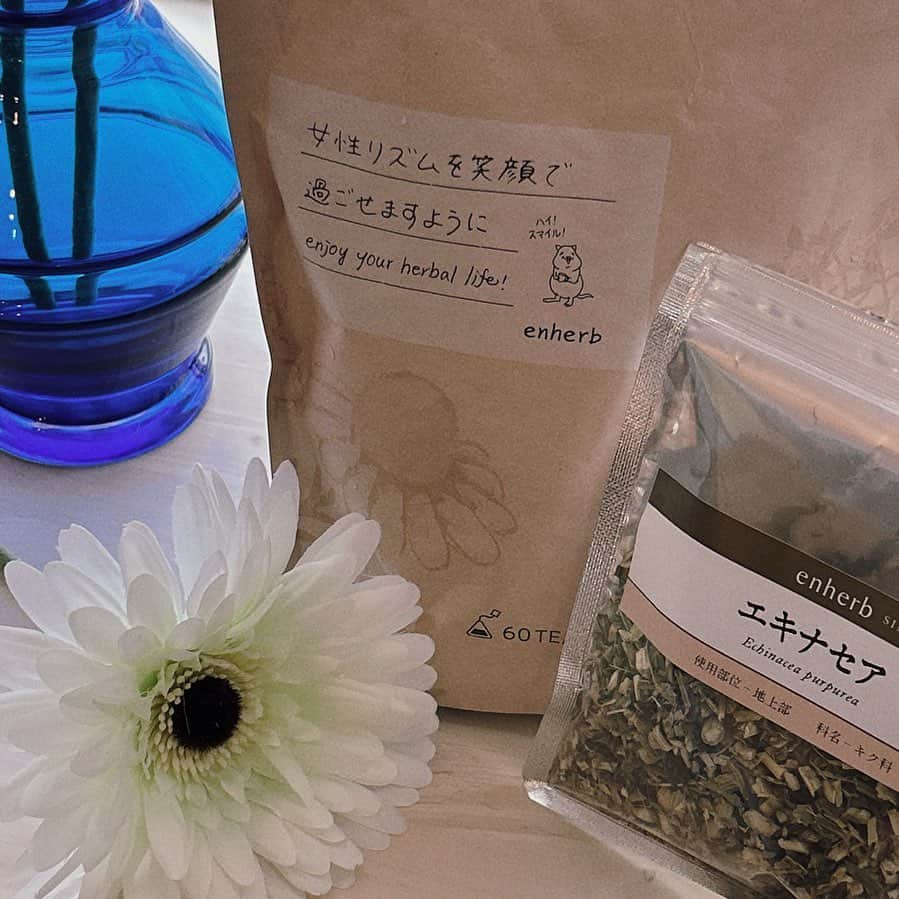 野島樺乃のインスタグラム：「🌿🌿🌿 . . . 最近毎日飲むようにしてるハーブティー なんだか最近免疫力弱めだから、免疫力を向上させてくれるハーブ、エキナセアも合わせて飲んでます🌿♡ . . たまにはこういう投稿もいいかなって☺️ . #ハーブティー」