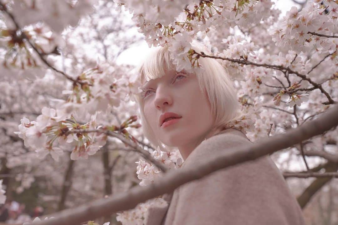 ナスチャのインスタグラム：「my first year of endless enjoying sakura season 🌸💞 by @kimi_rina_ 🫂」