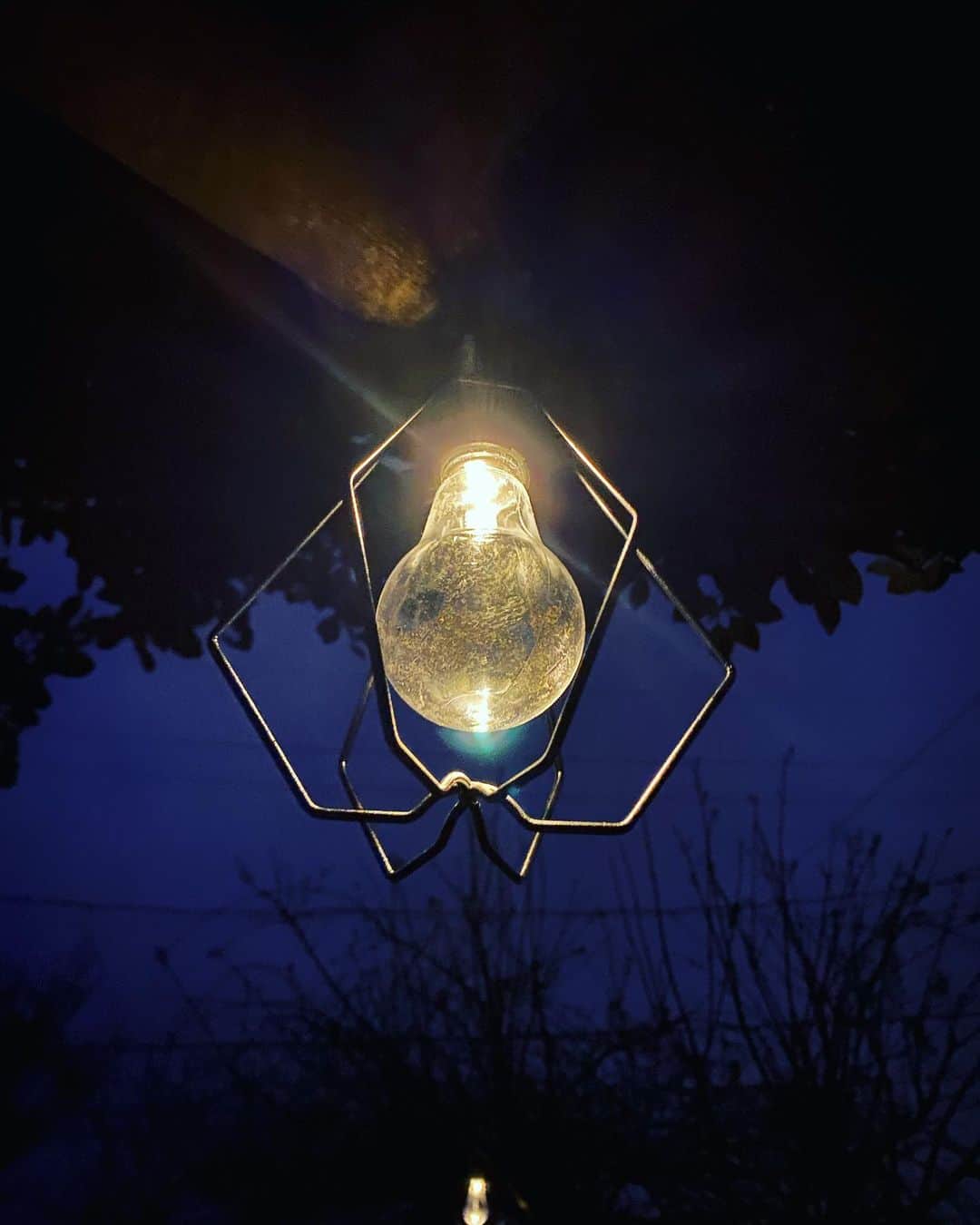 野本かりあのインスタグラム：「StandardProductsで一目惚れした ソーラーライト💡 #StandardProducts」