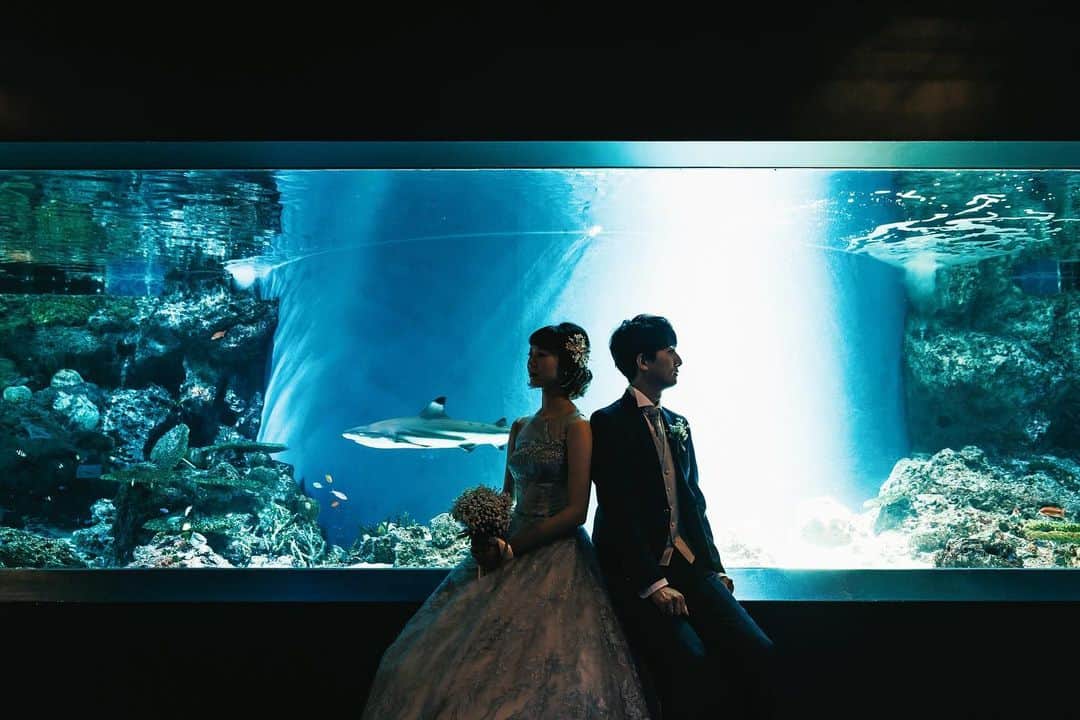 SWITCH SHOOTING PHOTO MAISONのインスタグラム：「結びは、サメのいる水槽の前でシルエットカット🫧  映るのが恥ずかしい…という方も シルエットカットは人気の一枚です📸  **********  アクアパークでのウェディングフォト、いかがでしたでしょうか？🐬💍  毎日9:00〜10:00の、1日1組限定貸切撮影です！  気になる方は、お早めにお問い合わせくださいね🌟  東京 @switch.tokyo 大阪 @switch.umeda 札幌 @switch.sapporo 鹿児島 @switch.kagoshima ⁡. ▼少人数結婚式ご検討のカップルはこちらから @chapel_tenkeiandmarry ⁡. ▼前撮り・フォトウェディングご希望のカップルはこちらから @switch.tokyo . #switch表参道#switchomotesando #switch東京　#switchtokyo #前撮り#後撮り#ウェディングフォト#フォトウェディング#フォトスタジオ #ブライダルフォト#結婚写真#結婚式前撮り#プレ花嫁#花嫁準備#ブライダルヘア#ウェディングヘア#おしゃれ花嫁#ドレス試着#結婚式#日本中のプレ花嫁さんと繋がりたい#ウェディングドレス#カラードレス#タキシード#和装前撮り#色打掛#白無垢#品プリ花嫁 #品プリ婚　#水族館　#アクアパーク品川」