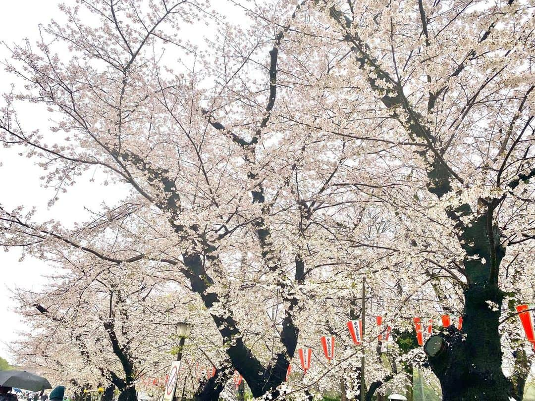 江川清音さんのインスタグラム写真 - (江川清音Instagram)「⁡ 🌸東京・上野公園🌸 ⁡ 3/25(土) 5地点目は上野公園。 ⁡ 観光客の方がたくさんいっらっしゃっていて 賑わっていましたよ🌸🌸 ⁡ 宴会などは禁止ですが、出店が何店舗もあり 空腹を満たすことが出来るのも嬉しい🥹◎ ⁡ ここでは途中休憩を😌 さくらと抹茶のドーナツをいただいて ほっとひと息つきまし🍩🌸🍵 ⁡ ⁡ #上野公園  #桜のあるくらし2023 #ウェザーニュースlive #さくらプロジェクト #さくプロ大使 #さくらば〜」3月26日 19時42分 - egawasayane