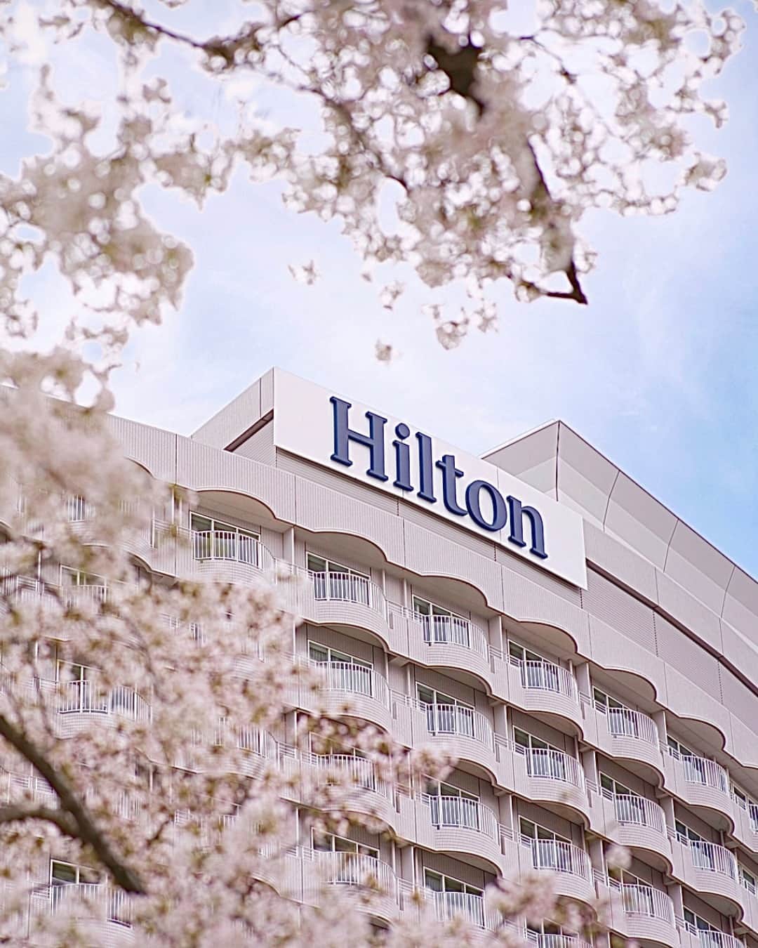Hilton Tokyo Odaiba ヒルトン東京お台場のインスタグラム：「心地よい風を感じる爽やかなお台場にも、桜シーズンが到来です🌸  ヒルトン東京お台場の客室から桜を眺めたり、「シースケープ スイーツ&コーヒー」をテイクアウトしてお花見など、この時期だけの絶景をご堪能ください。  Take a deep breath and be inspired by the beauty of this fleeting moment - cherry blossom season has arrived in Odaiba, embrace it with open arms.  Enjoy the stunning views from your room at Hilton Tokyo Odaiba, or take out some Seascape Sweets & Coffee for a relaxing snack whilst viewing the blossoms🌸   #ヒルトン東京お台場 #hiltontokyoodaiba」