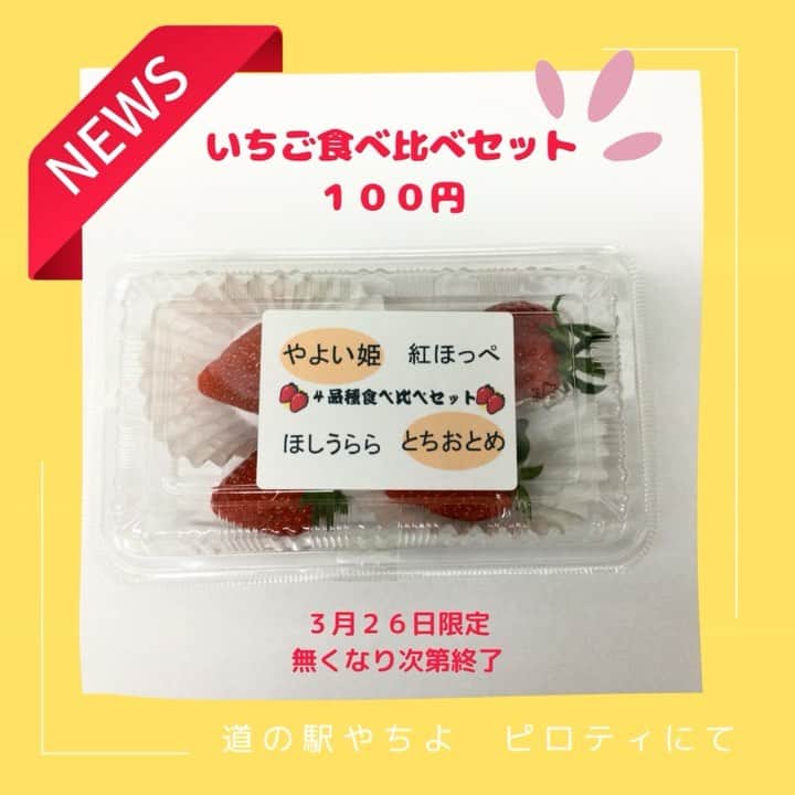 道の駅やちよのグルメインスタ