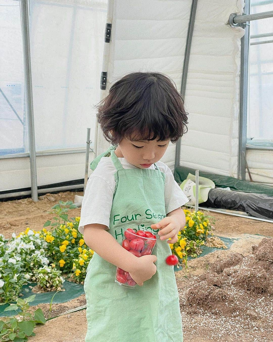 キム・ヒナさんのインスタグラム写真 - (キム・ヒナInstagram)「🍅방울 토마토 따기 체험🍅 아덜이랑 둘이서 주말 데이트 아주 성공적!! 체험 종류가 많은거 같아서 좋았던곳 쫘니도 너무  좋아하고 시간 가는줄 몰랐다 다음에 또 가야지~🫶🏻」3月26日 11時47分 - xkimheenax