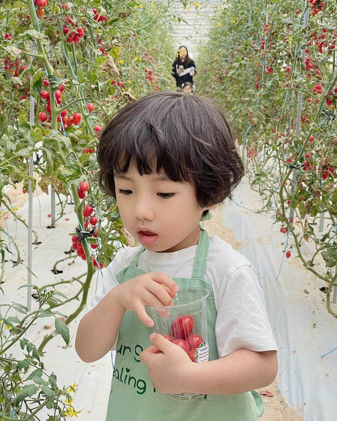 キム・ヒナさんのインスタグラム写真 - (キム・ヒナInstagram)「🍅방울 토마토 따기 체험🍅 아덜이랑 둘이서 주말 데이트 아주 성공적!! 체험 종류가 많은거 같아서 좋았던곳 쫘니도 너무  좋아하고 시간 가는줄 몰랐다 다음에 또 가야지~🫶🏻」3月26日 11時47分 - xkimheenax