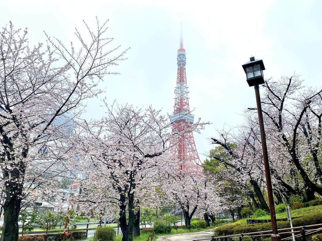 江川清音のインスタグラム