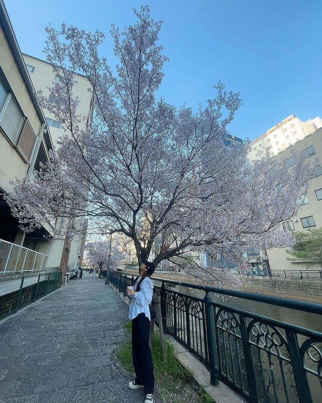 日高優月さんのインスタグラム写真 - (日高優月Instagram)「☺︎☺︎☺︎  まだ散らないでね、、T_T」3月26日 12時29分 - yuzukihidaka_0401