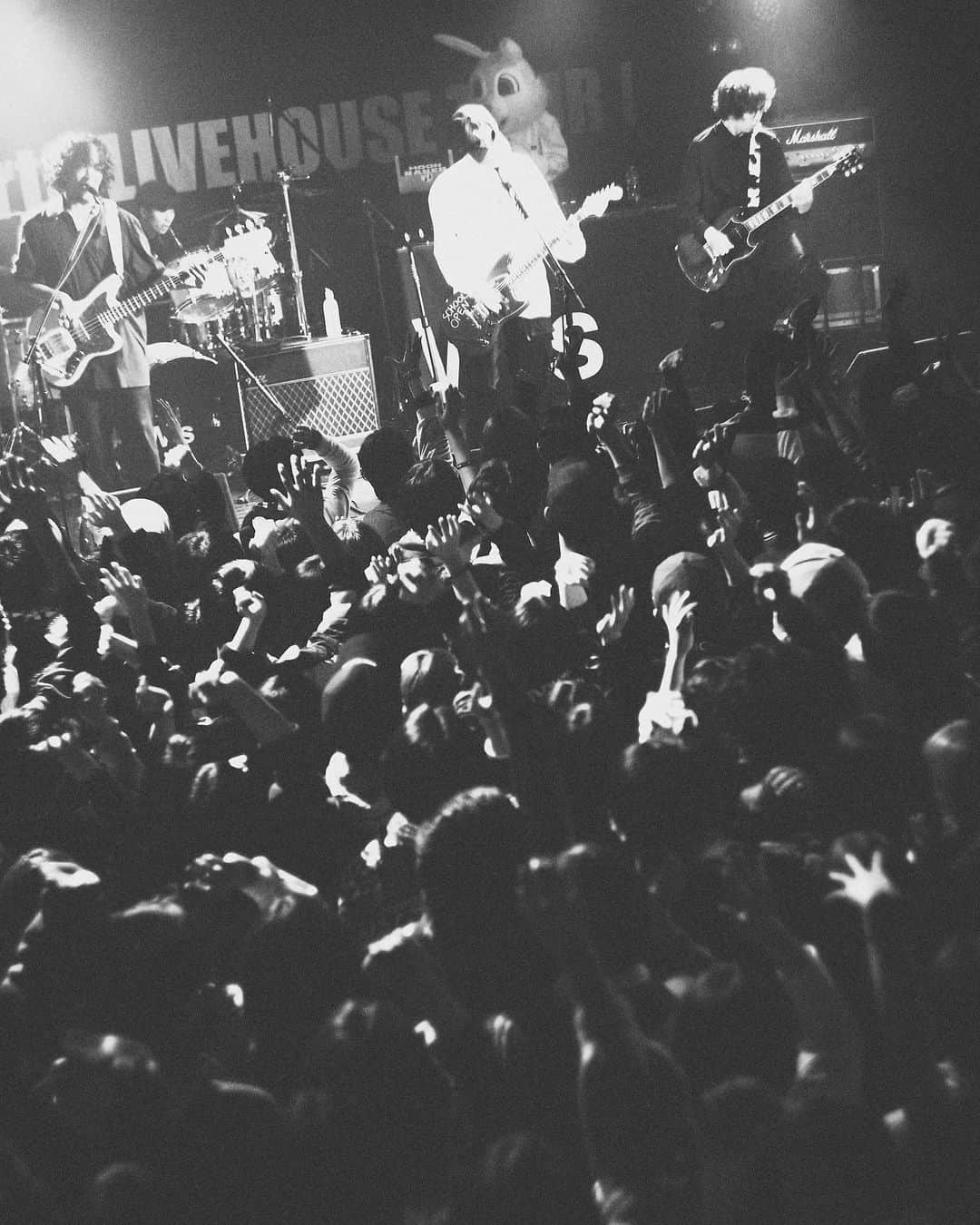 WurtSのインスタグラム：「#wurts #live」
