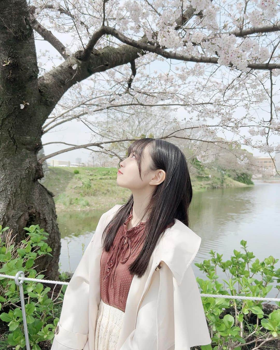 竹本くるみのインスタグラム：「🌸🍃」