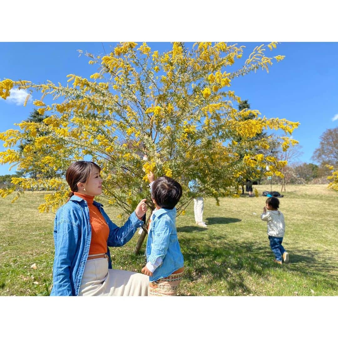 鬼頭由芽のインスタグラム：「・ 大好きな昭和記念公園🌸  お花見したかったけど 先週の時点ではまだ五分咲きって感じだったので 今週くらいが見頃かな？？ この日は桜よりミモザ（ん？ミモザですよね？たぶん。笑）が綺麗で 息子が「黄色いお花綺麗ねぇ☺️」と テンション上がってました。  あとなぜかずっと パンジーをパンツと間違えていて 紫のパンツが咲いてる！ こっちは黄色い小さいパンツ、かわいいねぇぇ☺️ とご機嫌にお話ししていました。 面白いのでしばらく訂正せずにいきます（意地悪）  またたくさんピクニック行こうね🌸  ちなみにこの日も私の趣味の一つ 「あたかも誰かが撮影してくれたかのような自撮り」です。 こちらも極めていきたい😌✨」