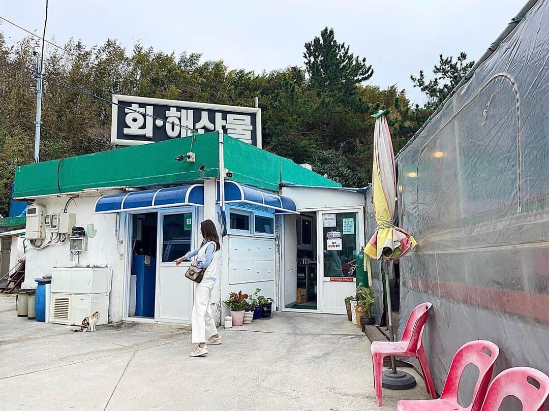 西口真央のインスタグラム：「釜山で1番美味しかったお店🤤🇰🇷😸 海沿いにあって、ウニキンパも海鮮ラーメンもお刺身も맛있었다〜🫰🫰 お店のおじちゃんも優しい🫰  #BUSAN #釜山 #釜山旅行 #釜山グルメ #옥천횟집 #玉泉さしみ #옥천횟집」
