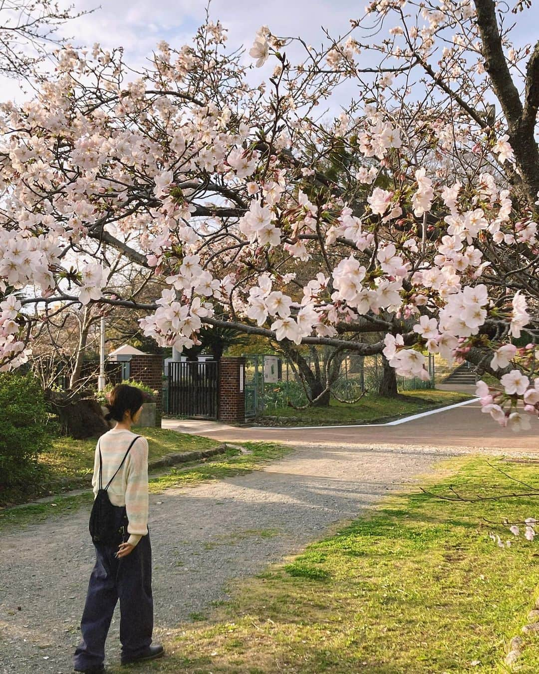 ソン・ファミンさんのインスタグラム写真 - (ソン・ファミンInstagram)「어딜가나 다 꽃이네🌸. .」3月26日 14時21分 - hwa.min