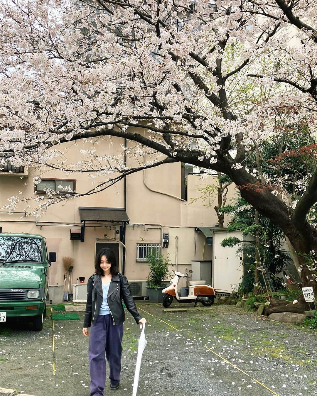 ソン・ファミンのインスタグラム：「어딜가나 다 꽃이네🌸. .」