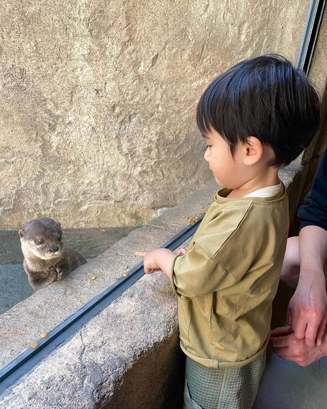 落合砂央里さんのインスタグラム写真 - (落合砂央里Instagram)「沖縄旅で行った場所 ・沖縄こどもの国 少しだけ乗り物があるこじんまりとした動物園…と思っていたら、キリンにライオンにゾウ、カバまで見れて 想像以上の充実度🐘 カワウソの餌やりも近くで見せてくれました。 乗り物も喜んでいて、子連れにはピッタリ！  ・3枚目 定番の美ら海水族館。 やはり1番好きな水族館！ ゆったりと泳ぐジンベイザメに癒されます。 綺麗な魚に子どもも興味津々でした🐠  ・4枚目〜 アラハビーチ。 ビーチ沿いに船の形の遊具がある公園。 ビーチをお散歩するだけでも気持ちよかった✨ うちの子は遊具で遊ばなかったけど…砂浜も嫌がったけど…  那覇に宿泊したので、那覇から30分くらいで行ける場所で遊びました(美ら海は帰り道渋滞で2時間かかったよ…) 子どもが喜びそうな場所を探したけど、結局何もない所が1番楽しそうなのなんでだろう😂  #沖縄 #子連れ沖縄旅行」3月26日 14時29分 - ochiaikun