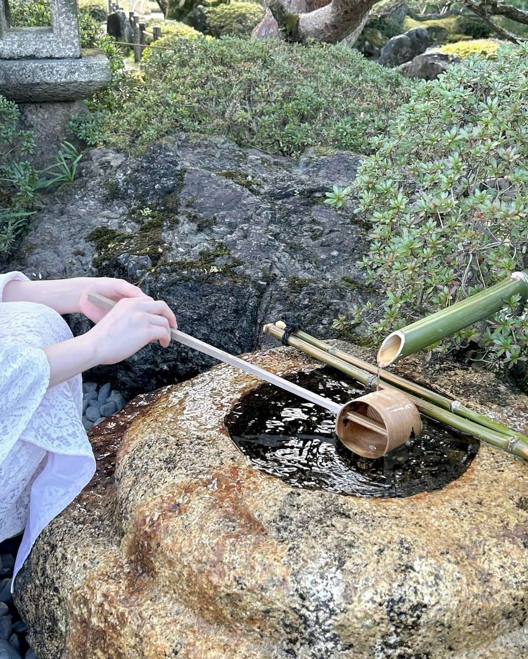 カン・テリさんのインスタグラム写真 - (カン・テリInstagram)「kyoto🌸」3月26日 14時26分 - taeri__taeri