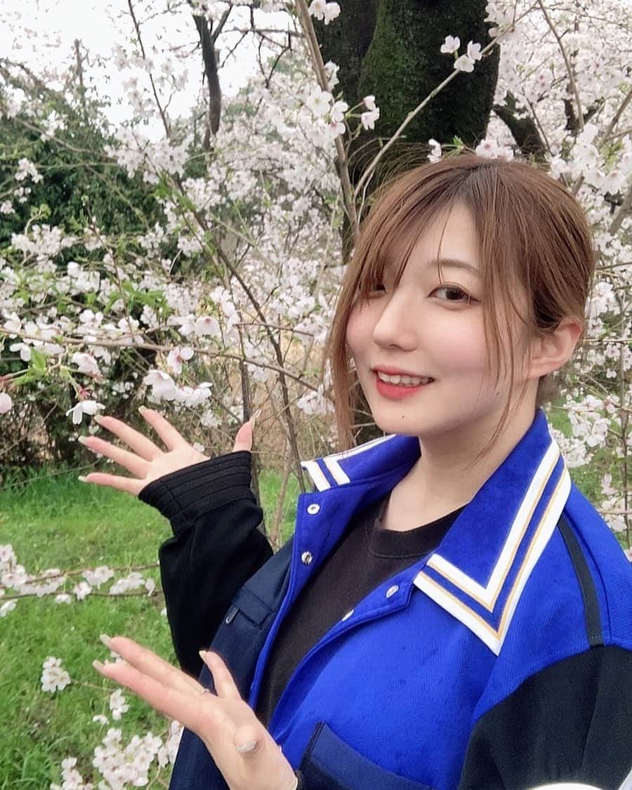 なすびのインスタグラム：「結果的に雨の中お花見しました  #花見 #名古屋城 #金シャチ横丁」