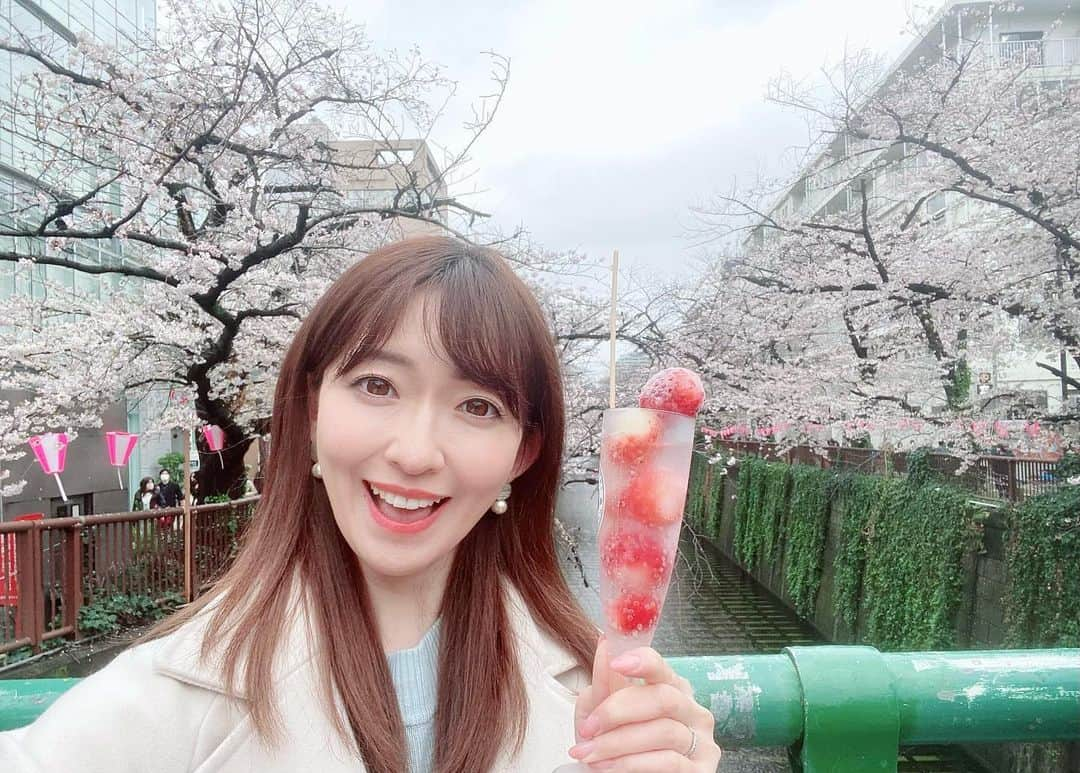 江川清音のインスタグラム：「⁡ 🌸東京・目黒川沿い🌸 ⁡ 3/25(土) #桜満開めぐり100 Twitterで行っている企画です💡 7地点目は目黒川沿い。 ⁡ 雨は止み、傘が必要なくなりました🙌✨ 目黒川沿いは若い方や外国の方が とても多い印象！ ⁡ 川沿いにたっくさんの出店があり 桜と食を楽しんでいる方が 多くいらっしゃいました🍖🌸 ⁡ 私もその1人。笑 ⁡ お疲れさまでした〜ということで シャンパンに見えるけど、 実はいちご入りのソーダジュース🍹 とカレースパイスの焼き鳥😆 ⁡ この日は雨風が強かったからか 木の幹に桜の花弁がたくさん付着していました。 ⁡ ⁡お疲れ様でした♥️  #目黒川沿い #桜のあるくらし2023 #ウェザーニュースlive #さくらプロジェクト #さくプロ大使 #さくらば〜」