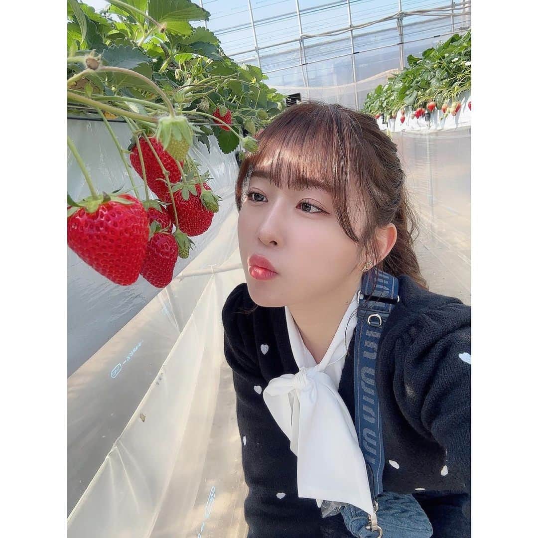 のインスタグラム：「🍓🤍 . . #いちご狩り」