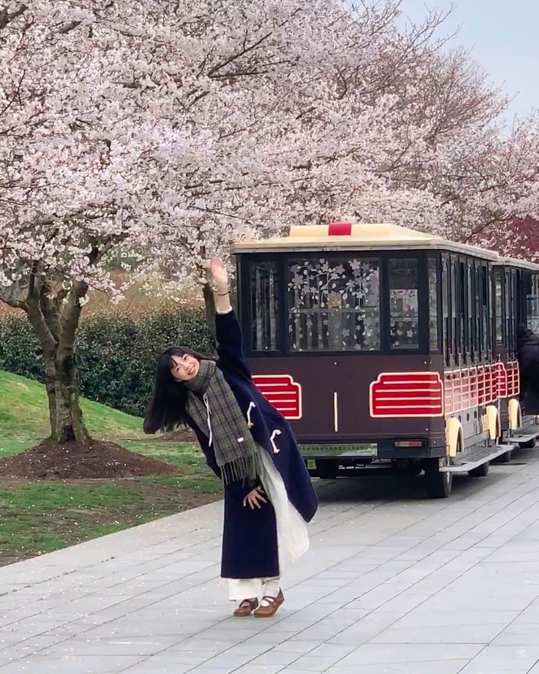 茶叶小果さんのインスタグラム写真 - (茶叶小果Instagram)「Rika来上海找我玩 我们去辰山植物园看了樱花🌸 好开心 回来看照片都是笑嘻了的 Rika好会拍！ 阴天的樱花也好美 已经满开 快去赏樱吧～ #桜」3月26日 16時58分 - chayexiaoguo