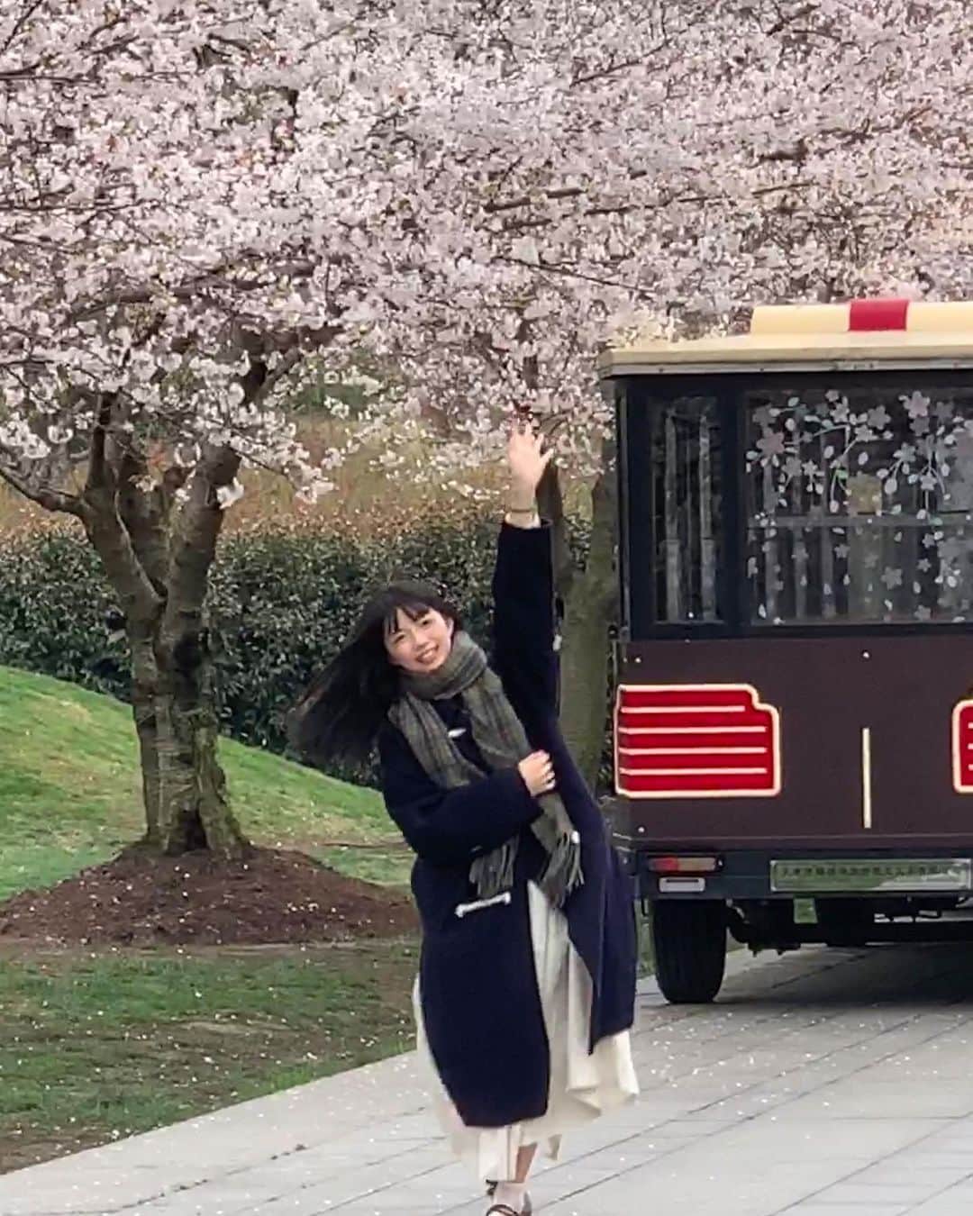 茶叶小果さんのインスタグラム写真 - (茶叶小果Instagram)「Rika来上海找我玩 我们去辰山植物园看了樱花🌸 好开心 回来看照片都是笑嘻了的 Rika好会拍！ 阴天的樱花也好美 已经满开 快去赏樱吧～ #桜」3月26日 16時58分 - chayexiaoguo
