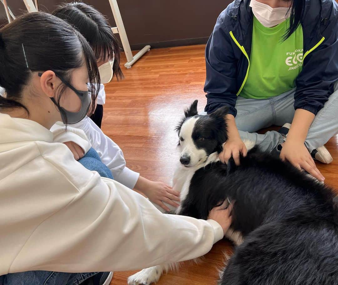 【公式】福岡ECO動物海洋専門学校のインスタグラム