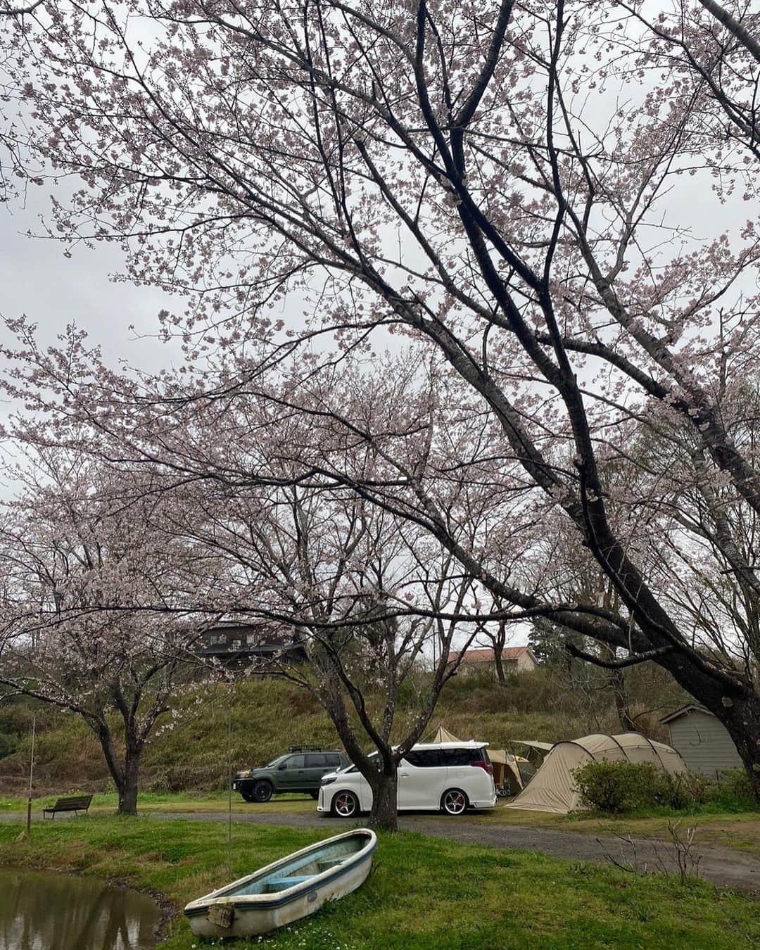上田麻希子さんのインスタグラム写真 - (上田麻希子Instagram)「. . #uedmkkキャンプ ⁡ 「お花見雨キャンプ」 ⁡ 春休み初日。 雨だとわかってはいたものの強行突破。 寒いとわかってはいたものの強行突破w ⁡ 雨キャンプの我が家の持ち物 ・テントの下に敷くブルーシート (サイトが土だったので泥防止) ・傘よりかっぱ ・最小限の荷物 ・お鍋１つで出来る料理 ・食器じゃなくて使い捨てできるもの ・90ℓのゴミ袋 (撤収時ずぶ濡れのテントを入れる為) ⁡ 設営は5.6mmの雨の中。 撤収は1.2mmの雨の中。 どちらにしてもずぶ濡れですが お花見しながらのキャンプはいい♡ ⁡ そして色々大変なんだけど、、 キャンプ行くと 楽しかったーー♡ リフレッシュできたーーー♡ という気持ちになるのでやめられない。 ⁡ キャンプ投稿楽しみにして下さってる方も多いみたいでありがとうございます😭 ほぼスマホを持たずに動いていて...撮りながらキャンプしてなくて、DMも多数いただいたので頑張って少し撮ってみました（笑）所々でごめんなさい🙏 また投稿しまーす！！ . . #春休み #キャンプ #グルキャン #ファミキャン #雨キャンプ #雨キャンプ撤収 #お花見キャンプ #アウトドア #パーソナルお片づけアドバイザー #整理収納アドバイザー #日々の暮らし #暮らしを楽しむ #子育て」3月26日 17時51分 - uedmkk