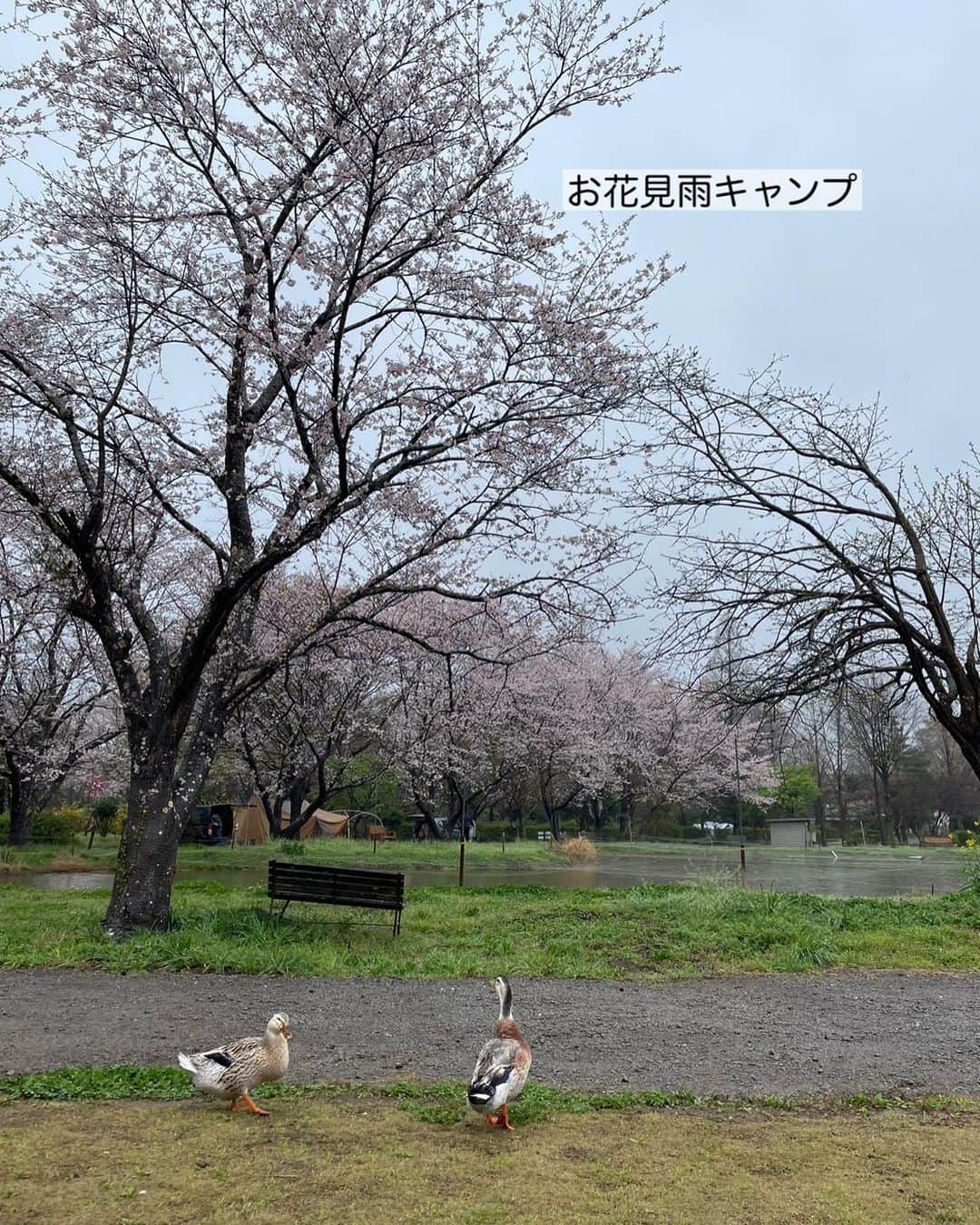 上田麻希子のインスタグラム