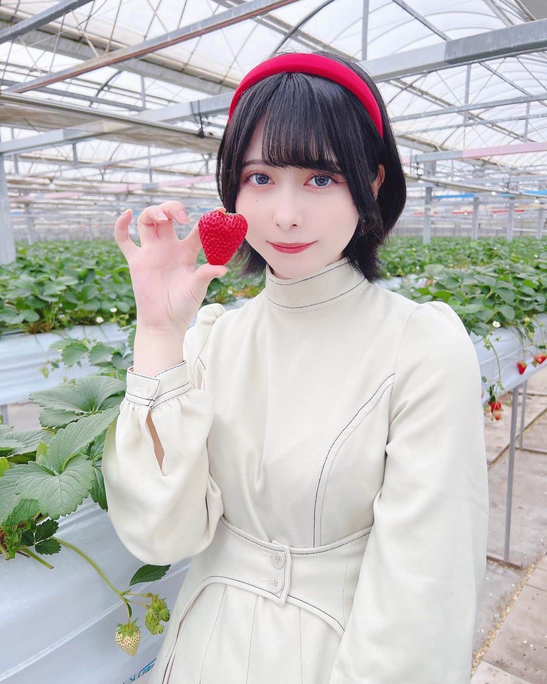 のインスタグラム：「めっちゃ食った🍓」