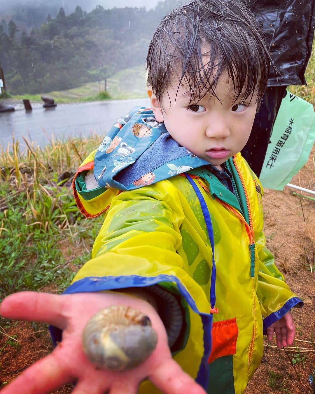 生尾佳子さんのインスタグラム写真 - (生尾佳子Instagram)「#山賊体験 一泊 雨だったけど棚田や川や森で色んな生き物探索。夜の探索もワクワクで出会った子供達で大はしゃぎ。泥まみれの洗礼。 #サンショウウオ のたまご で中で動いてる！ 山菜を摘んで食べましたよー 次男は雨でも帽子は被らない主義 #大山千枚田 #米作り 今年は田植えから収穫まで頑張るぞ！ #kajitrip #鴨川 #千葉　 #子供とお出かけ部  記録用で写真撮りたいがそれどころじゃない兄弟。」3月26日 18時26分 - yotikoikuo