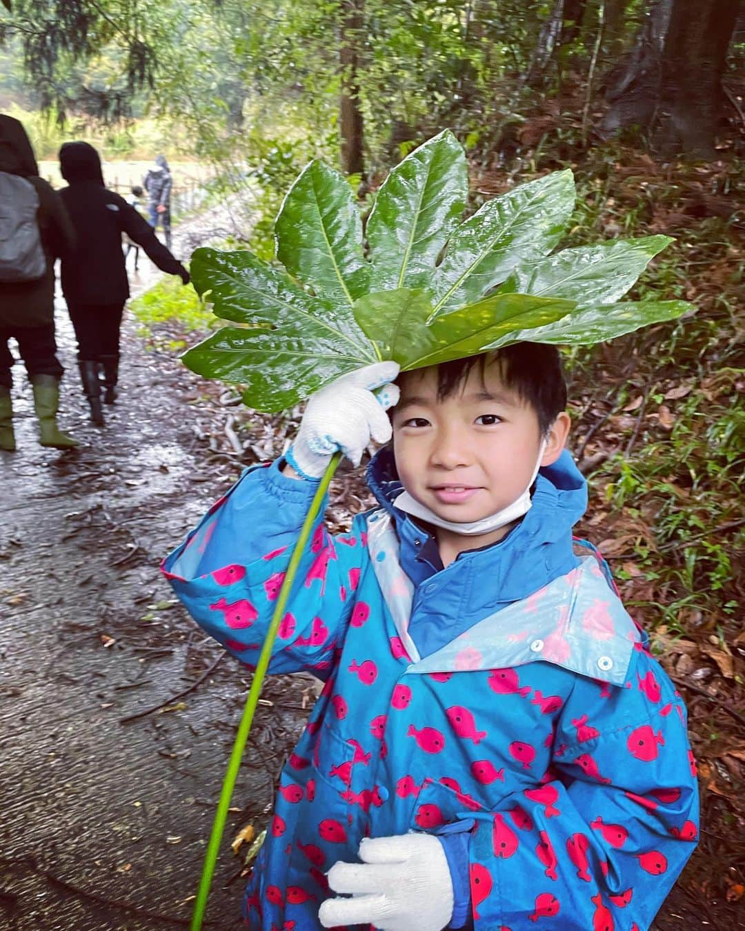 生尾佳子のインスタグラム：「#山賊体験 一泊 雨だったけど棚田や川や森で色んな生き物探索。夜の探索もワクワクで出会った子供達で大はしゃぎ。泥まみれの洗礼。 #サンショウウオ のたまご で中で動いてる！ 山菜を摘んで食べましたよー 次男は雨でも帽子は被らない主義 #大山千枚田 #米作り 今年は田植えから収穫まで頑張るぞ！ #kajitrip #鴨川 #千葉　 #子供とお出かけ部  記録用で写真撮りたいがそれどころじゃない兄弟。」