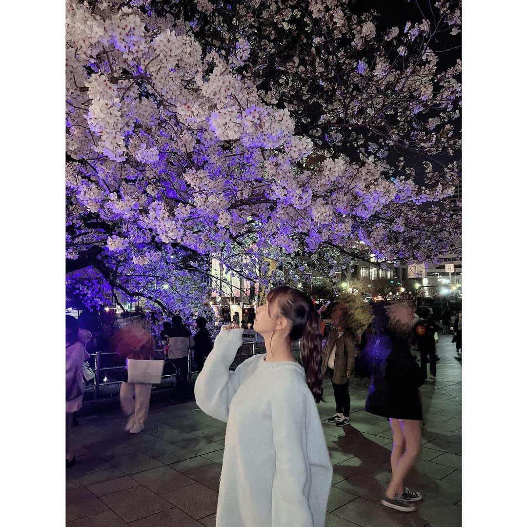栗山梨奈さんのインスタグラム写真 - (栗山梨奈Instagram)「桜まつり🌸」3月26日 20時21分 - krn_hkt48