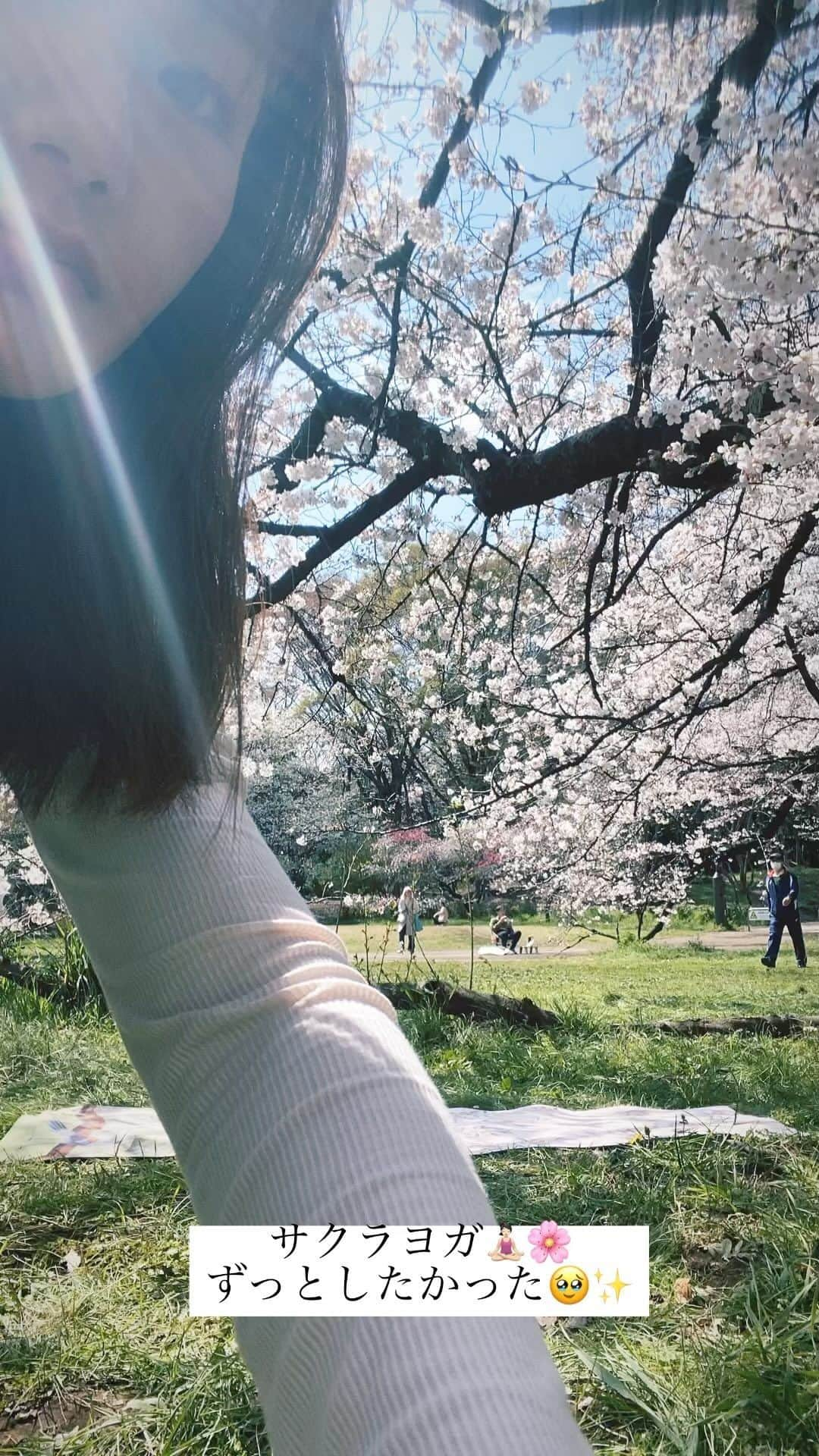 桜帆ゆかりのインスタグラム：「サクラヨガ🧘🏻‍♀️🌸 心地良すぎた🥹✨ 自分の好きなフローで自由に、あまり形にとらわれず土でバランスを崩したりするのも楽しんで😊  年内に外ヨガを計画して、ヨガをやったことない方でも楽しめるようなトレーニングやお出かけと含めて企画したい🥰❤️👏  #外ヨガ #お花見ヨガ #parkyoga  #ソメイヨシノ #yogalife #🌸🌸🌸」