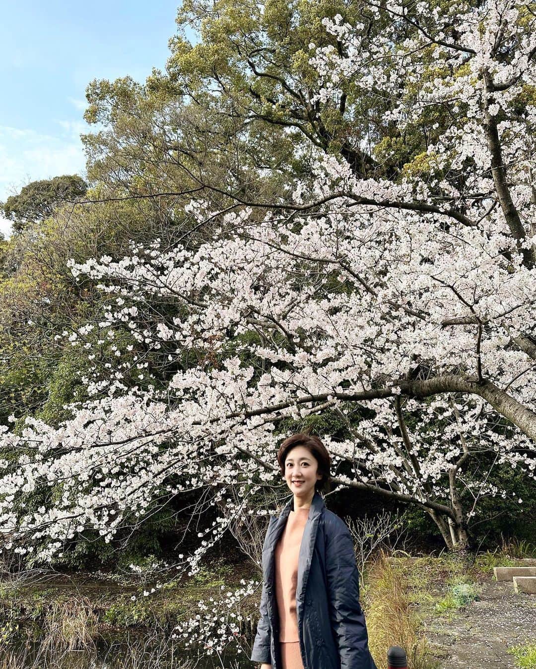 のインスタグラム：「今日は娘と散歩がてらお花見🌸写真部の娘が撮るサクラは美しい。そして、花より団子だったりもする休日なのでした。明日からまた頑張ろう。」
