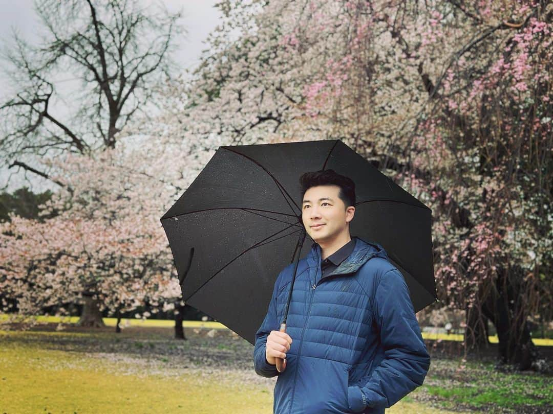 鄭シンさんのインスタグラム写真 - (鄭シンInstagram)「天青色等烟雨……」3月26日 20時50分 - zheng007xun