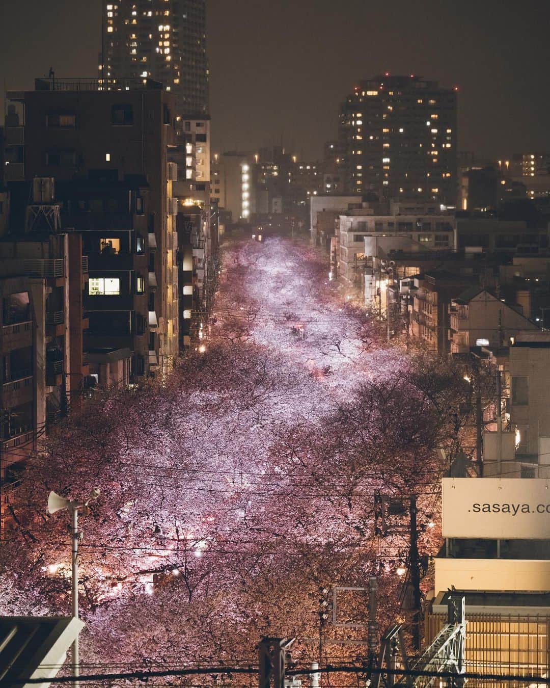 Yuma Yamashitaさんのインスタグラム写真 - (Yuma YamashitaInstagram)「Nakameguro Nights Hello from #tokyo  #目黒川 #桜 #cherryblossom」3月26日 21時00分 - yuma1983
