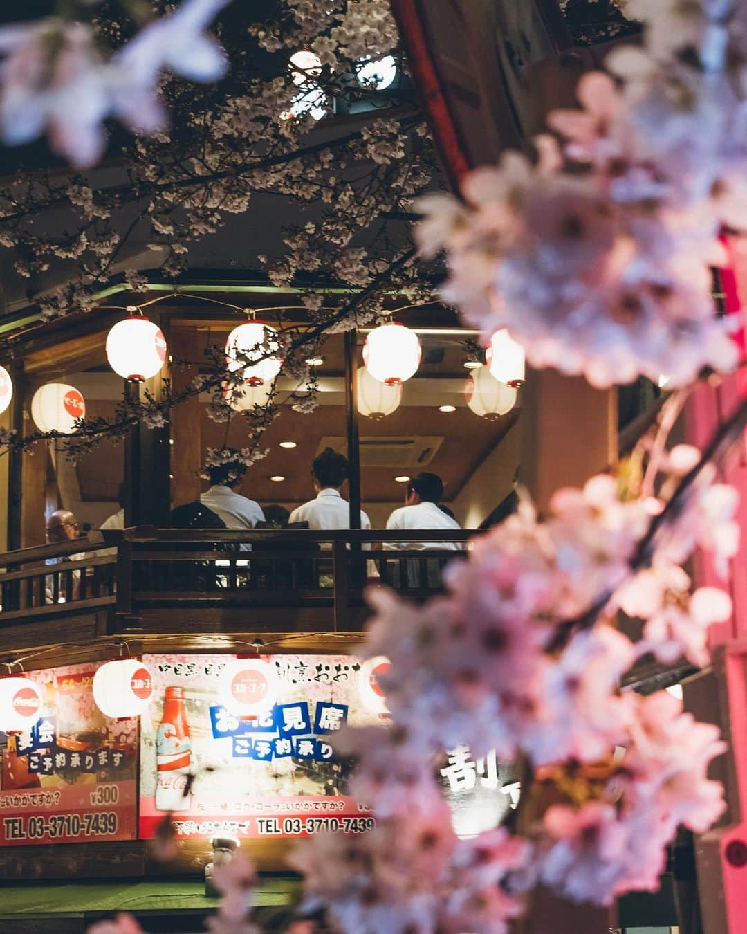 Yuma Yamashitaさんのインスタグラム写真 - (Yuma YamashitaInstagram)「Nakameguro Nights Hello from #tokyo  #目黒川 #桜 #cherryblossom」3月26日 21時00分 - yuma1983