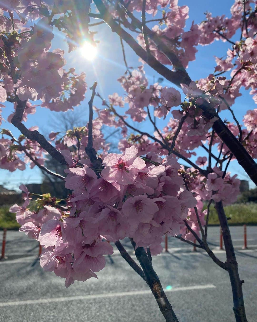 黒宮ニイナさんのインスタグラム写真 - (黒宮ニイナInstagram)「1週間ぶりの投稿🙏 すっかり桜も満開になりましたね🌸✨ 子どもたちも春休みに突入しましたが、私の仕事と習い事はあるので普段とそんな変わらない日常を過ごしています☺️  ここ1週間は大事な試験が控えていたので私自身は心と時間に余裕がなくなっていましたが、平日はなかなか公園に連れていけてなかった分、仕事ない日に娘ちゃんは幼稚園のお友達と公園遊びができ予想外にお花見もできて少し春休みを感じました😁💕  #ピラティス #ピラティスインストラクタ #ママ #2児ママ #2人育児 #男の子ママ #女の子ママ #ootd #今日のコーデ #ママコーデ #ライダースコーデ #スカートコーデ #シンプルコーデ #30代ママ #アラフォーママ #30代ママコーデ #pilatesinstructor #todayfashion #outfit #fashion #coordinate #cadune #plst #mama #mamafashion #mamacoordinate #mamalife」3月26日 21時00分 - niina_pilates0827