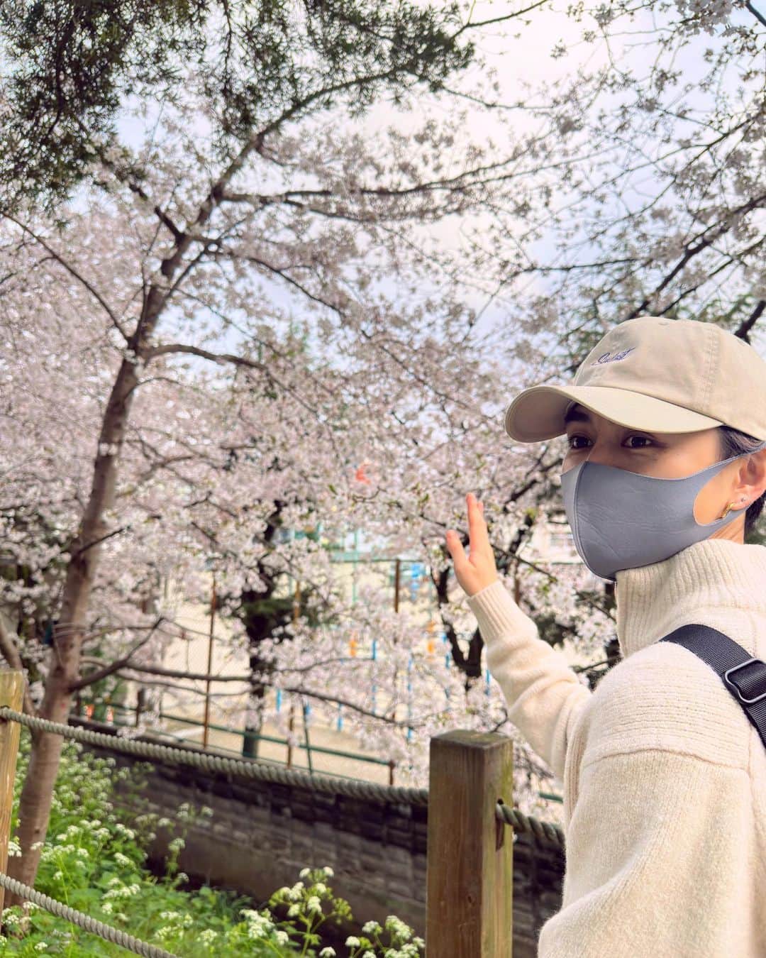 中垣悟さんのインスタグラム写真 - (中垣悟Instagram)「今日の福岡は寒かったですが、桜見てきました。 僕は自分の身体に書いてしまうくらい花の中でも桜が好きなのですが写真を撮るのが下手なので素晴らしさが伝わらなそうです…  毎年この花が咲く度に日本に生まれてよかったなぁと思います。  #sakura #桜2023 #桜福岡 #cherryblossom #溢れ出るコラ画像感」3月26日 21時07分 - freak_satorunakagaki