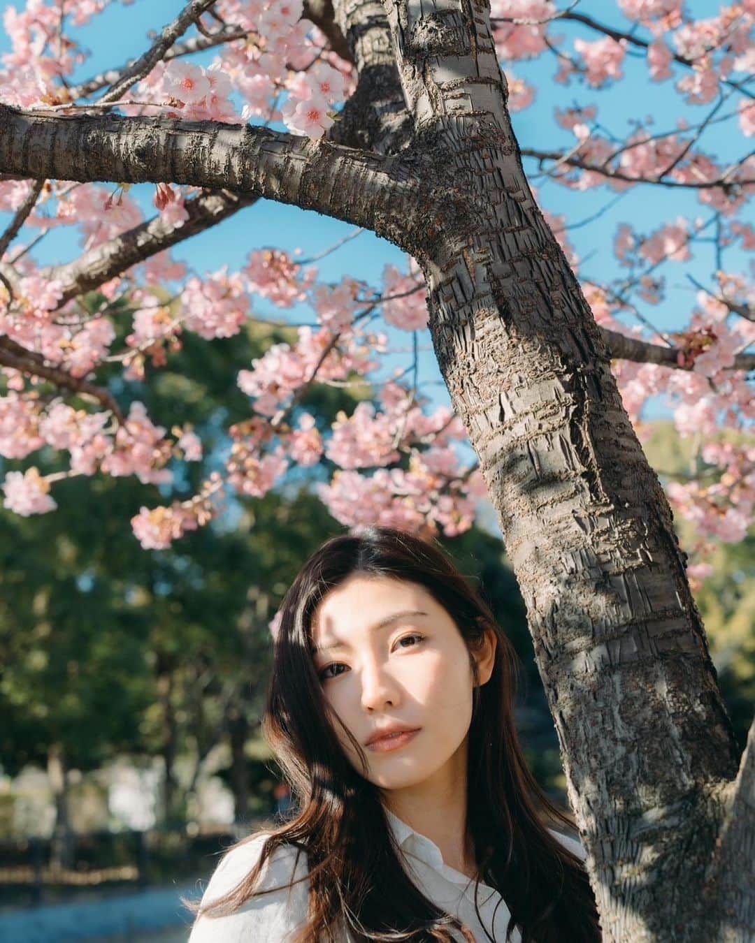 立石晴香さんのインスタグラム写真 - (立石晴香Instagram)「雨だけど桜眺めてきました🌸 なんだか長いなぁと感じてたけどついに3月も最終週ですね🥲  3月最終週楽しい1週間になりますように🌸🌸🫶  camera @yusuke_nari2   #さくら #sakura #flower」3月26日 21時26分 - haruka_tateishi