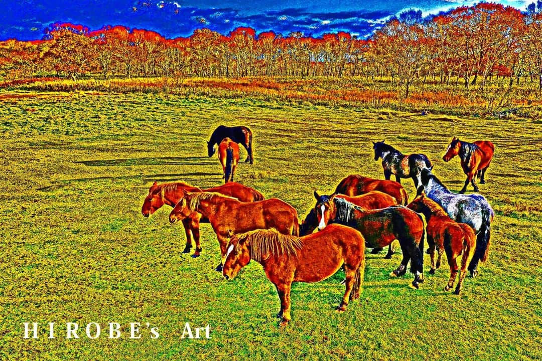 広部俊明さんのインスタグラム写真 - (広部俊明Instagram)「絵画みたいシリーズ、今度は北海道根室のそばの牧場で撮影した馬！」3月26日 21時27分 - toshiakihirobe