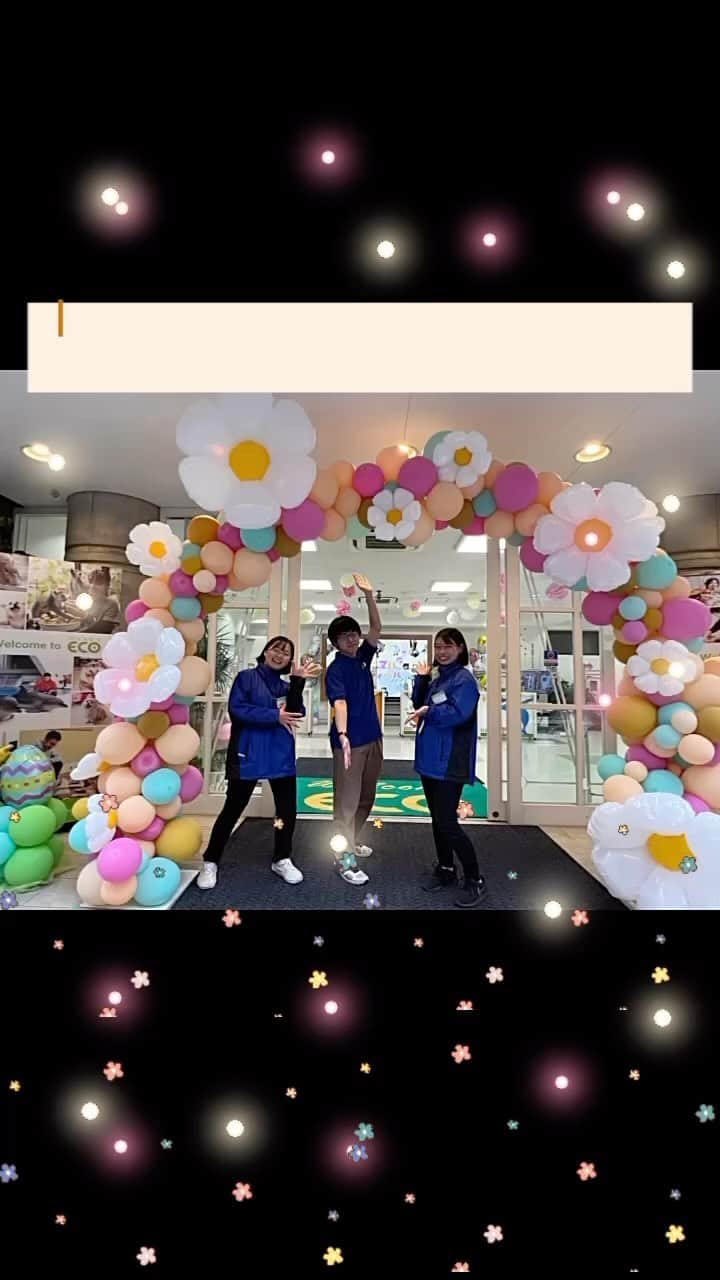 のインスタグラム：「.  🌈🦥アニマルフェスティバル　2023🤍🎪  大阪ECOのアニマルフェスティバル！ ご参加下さった皆さま、遠方からお越し下さった皆さま、本当にありがとうございました☺️🌸 たくさんの体験やパフォーマンスを楽しんで頂けたようで嬉しいです🌟🌟  大阪ECOの学生はとにかく動物が大好きで、 飼育員・トリマー・動物看護師・ドッグトレーナー・ドルフィントレーナーなど、動物と関わるお仕事を夢見て日々頑張っています🥰🍀 アニマルフェスティバルにご参加頂いた方の中にも、 そんな素敵な夢を持った高校生がたくさんいらっしゃるではないでしょうか？🌼✨  春のオープンキャンパスはまだまだ続きます！ また、大阪ECOの動物たち、そして学生たちに会いに来てくださいね〜🌞🌷💫   #アニマルフェスティバル #オープンキャンパス #大阪eco動物海洋専門学校#大阪eco  #動物専門学校 #動物園・動物飼育専攻 #動物園公務員専攻 #動物飼育 #動物園 #水族館 #飼育員 #ドルフィントレーナー #アクアリスト #動物看護師 #トリマー #ドッグトレーナー#動物好きと繋がりたい #犬好きと繋がりたい」