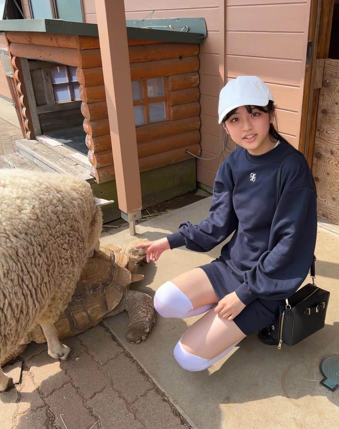 竹下優名さんのインスタグラム写真 - (竹下優名Instagram)「マザー牧場に行ってきたよ🐄‪🌱‬ 色んな種類のお花があって、景色がすごく綺麗だった〜💐✨ 途中で食べたアイスがめちゃ美味しかった‪🍦‬♡ ふれあい広場で、かめ見てたら羊がかめの甲羅かじっちゃってびっくりした🐢🐑  #マザー牧場#🐄‪🌱‬#千葉 #かめ#羊#🐢#🐑 #olivedesolive#オリーブデオリーブ #ニコプチ#プチモ #竹下優名 @nicopuchi_official #jc1#09 #スターダストプロモーション」3月26日 21時36分 - yu_na0114.official