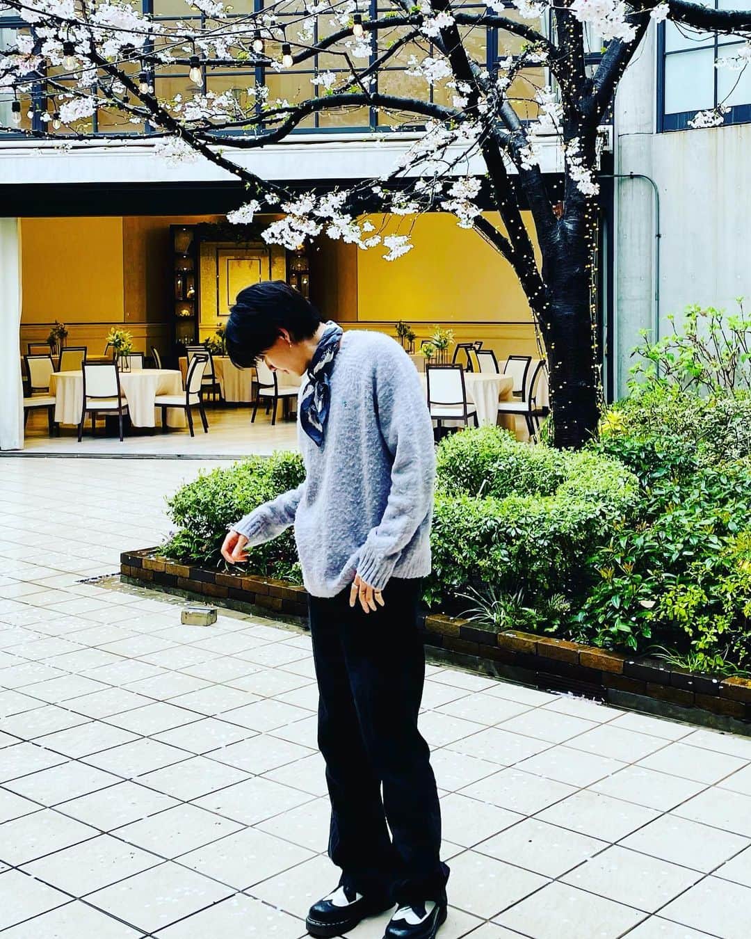 小川史記（FUMINORI）のインスタグラム：「👕👕✨✨  桜見れた🌸  ニットはもーりーお下がり🫶  @acnestudios  @jieda  @drmartensofficial」