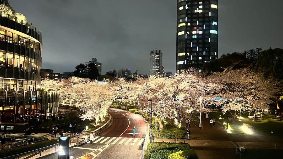 のインスタグラム：「MIDTOWN BLOSSOM2023🌸」