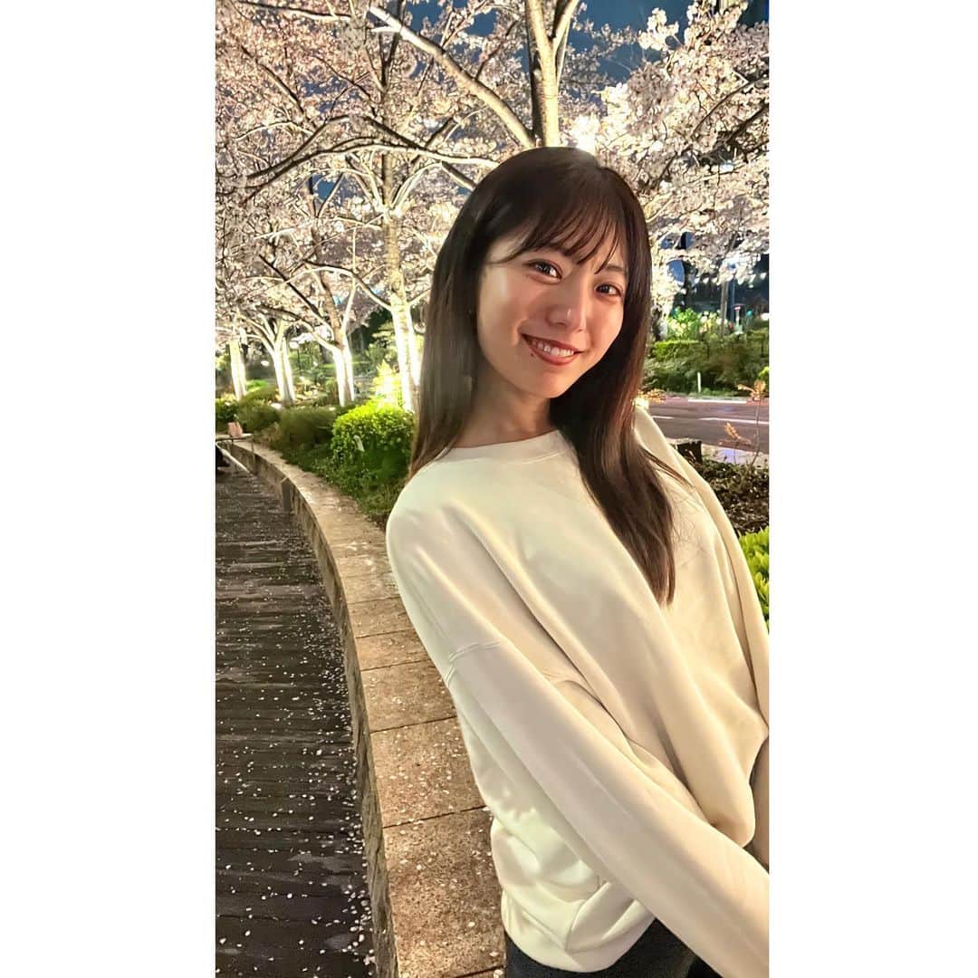 のインスタグラム：「🌸  友達のiPhone13Pro アスペクトいつもと違くて上手く載せられんかった笑  #夜桜 #花見 #ミッドタウン六本木」