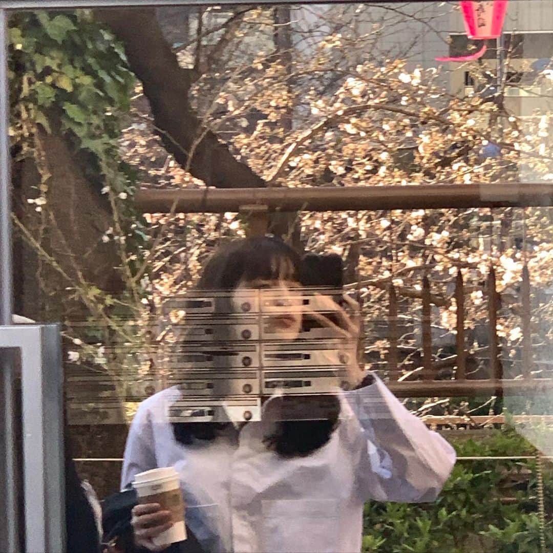 乃愛さんのインスタグラム写真 - (乃愛Instagram)「食べたりみたりしたさくらまとめ」3月26日 22時55分 - _0w022