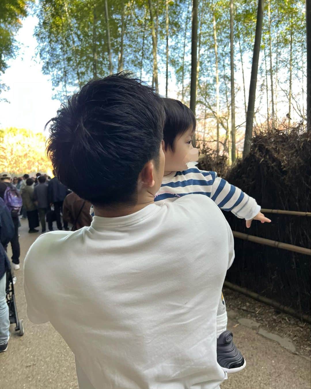 丸山城志郎さんのインスタグラム写真 - (丸山城志郎Instagram)「📍京都 嵐山」3月26日 23時24分 - joshiromaruyama