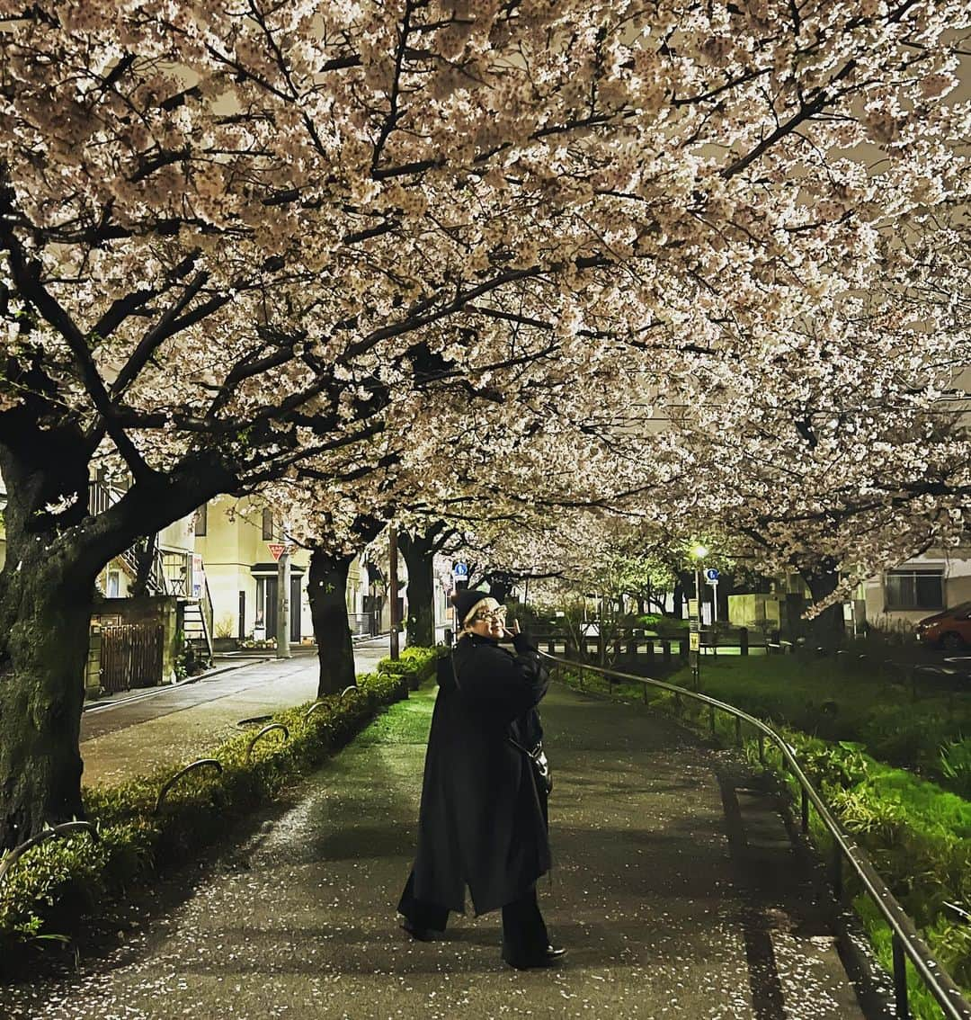 相澤樹さんのインスタグラム写真 - (相澤樹Instagram)「雨上がり夜桜。日曜日の定期散歩。 やっぱり春はいいね。」3月26日 23時27分 - mikitiaizawa